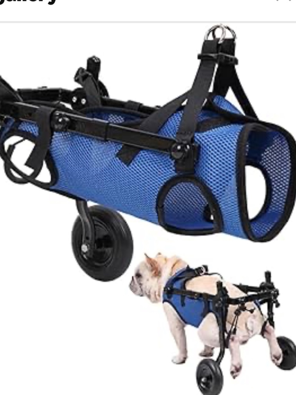 Adjustable Small Dog Wheelchair - Mobility Aid for Disabled Pets,x-Small Dog